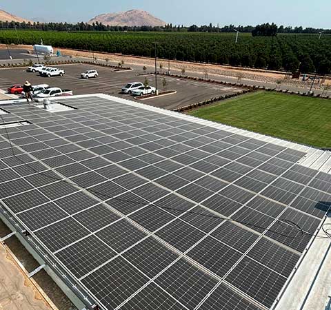 Expert Commercial Solar Panel Cleaning