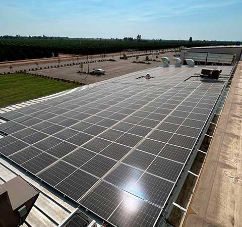 Expert Commercial Solar Panel Cleaning